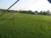 Picture 083